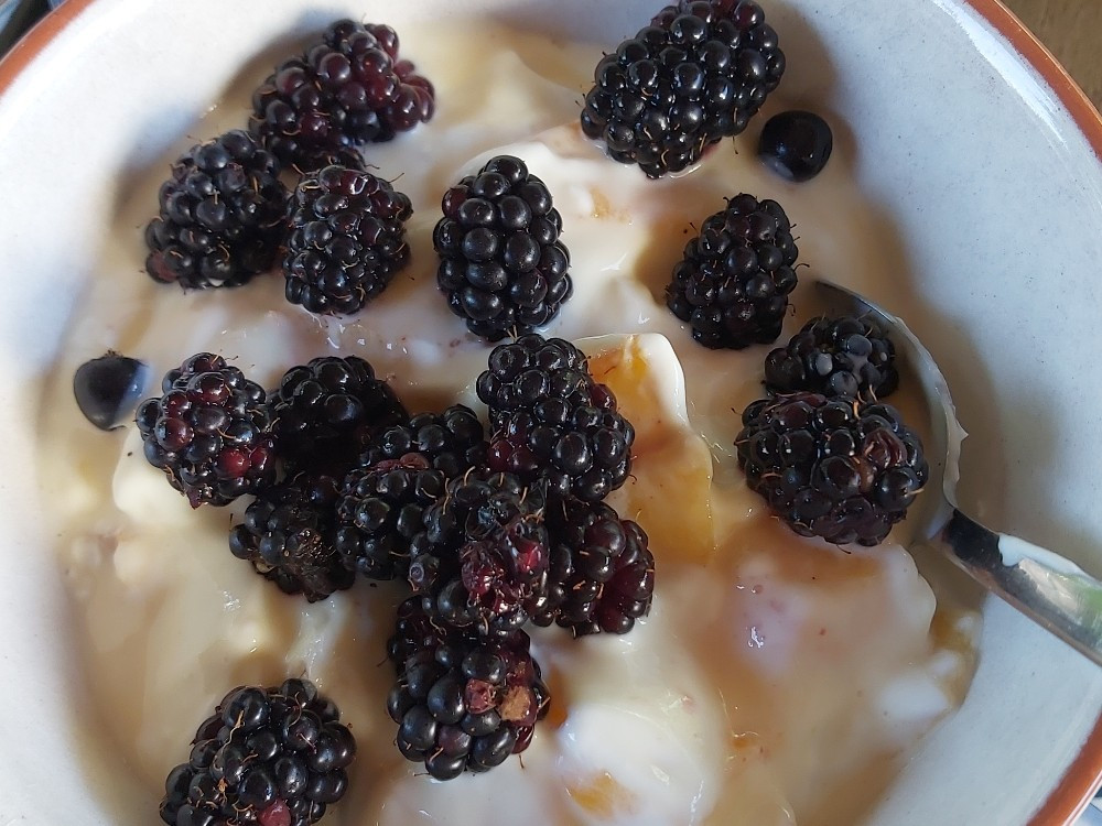 Hochgeladen von: Zirkon