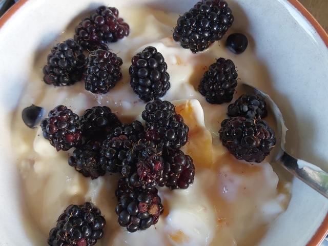 Hochgeladen von: Zirkon Hochgeladen von: Zirkon