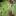Nimm2 Lachgummi Apfellinge  | Uploaded by: rf76