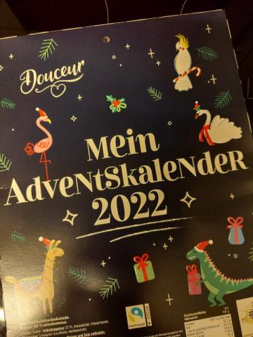 Mein Adventskalender 2022 von fhl13 | Hochgeladen von: fhl13