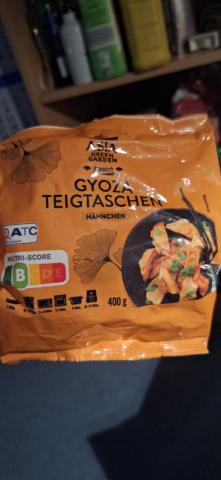 Gyoza Teigtaschen by frederick001 | Uploaded by: frederick001