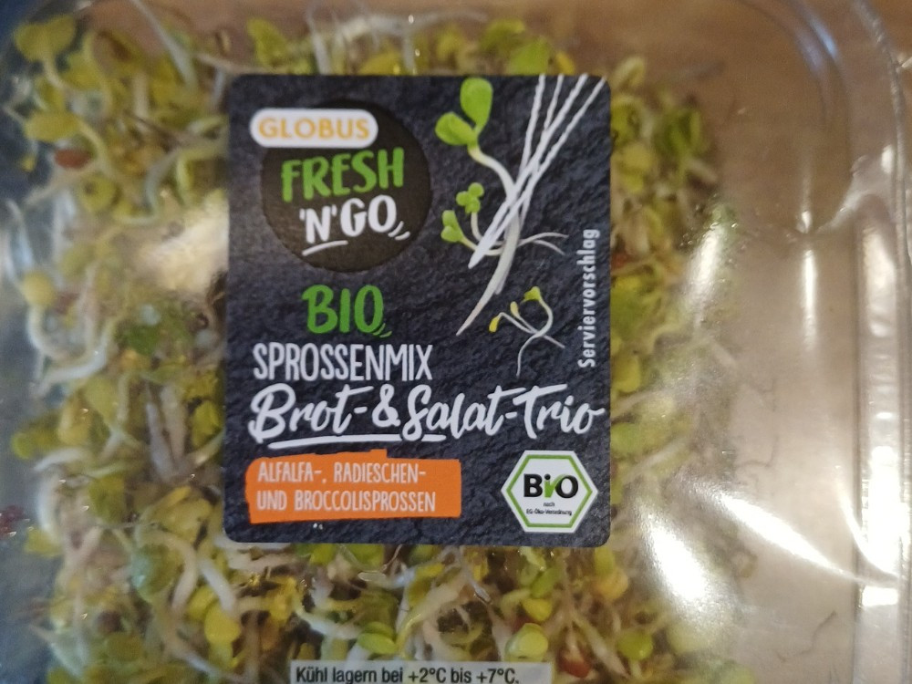 Hochgeladen von: Ronny 13