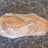Weizen-Roggen-Brot von Beate62 | Hochgeladen von: Beate62