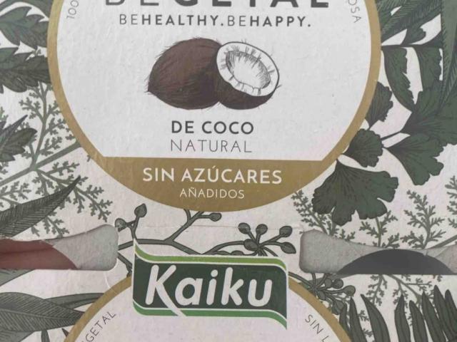 coconut yogurt  Kaiku, 100% vegetal by langaka | Uploaded by: langaka