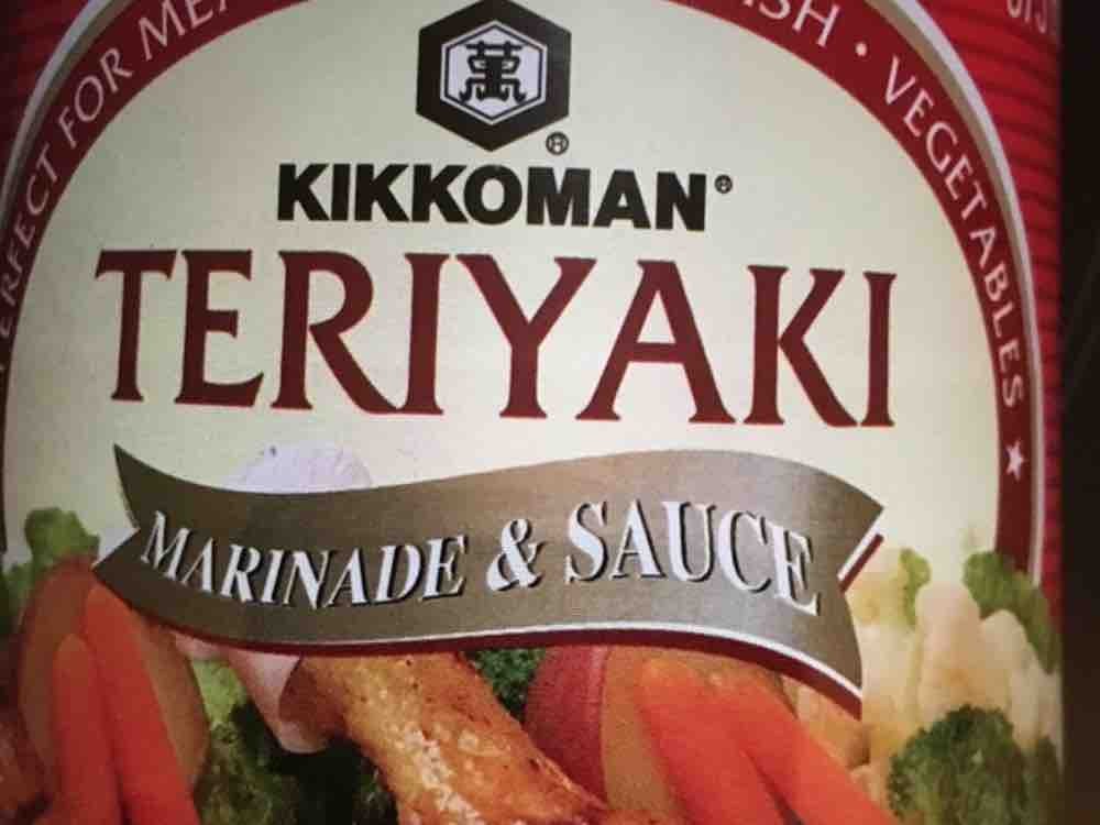 Teriyaki , Marinade &  Sauce von rudykuh | Hochgeladen von: rudykuh