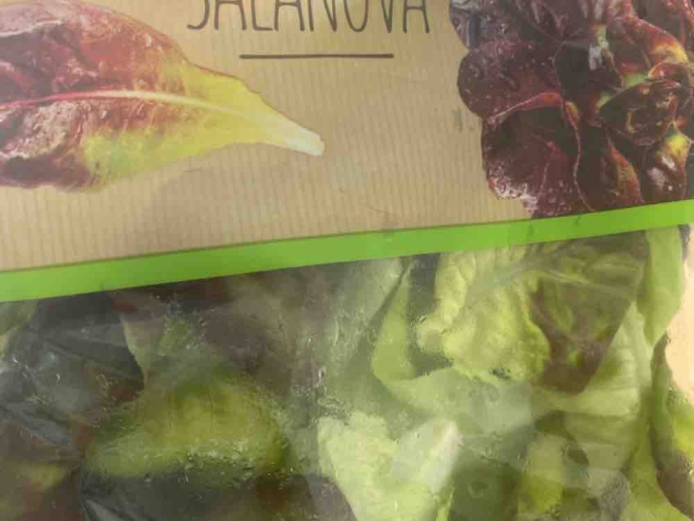 Salat Melange, roter & grüner Salanova von Nofre | Hochgeladen von: Nofre
