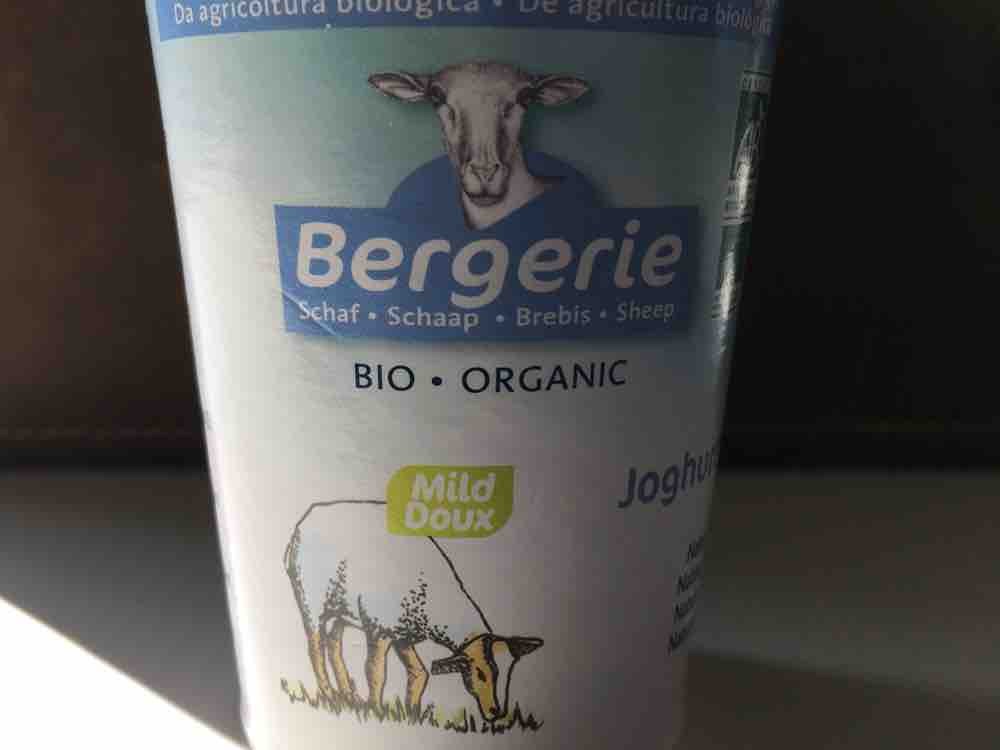 Schafsjoghurt, natur von bima77 | Hochgeladen von: bima77