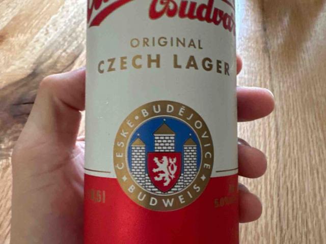 Budweiser original  Czech Lager von raffael21 | Hochgeladen von: raffael21