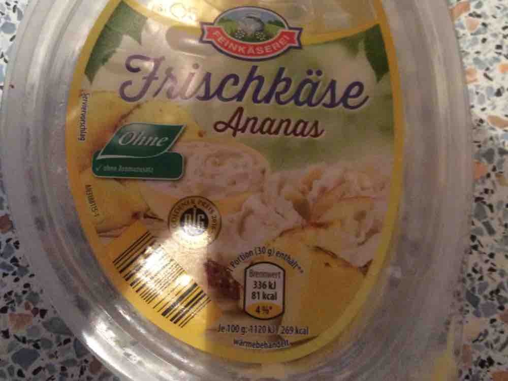 Frischkäse Ananas von Nico 1604 | Hochgeladen von: Nico 1604