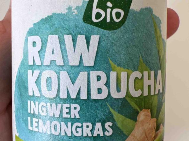 Kombucha von shigatse | Hochgeladen von: shigatse