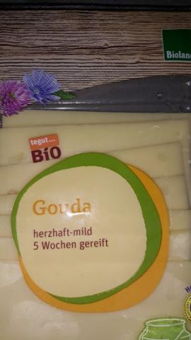 tegut  Bio Gouda, aus Heumilch von Torsten1979 | Hochgeladen von: Torsten1979