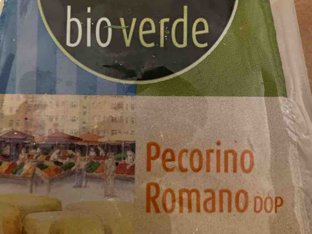 Pecorino Romano von Sommaren | Hochgeladen von: Sommaren