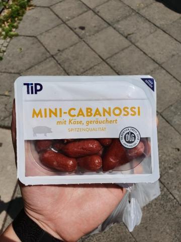 Mini-Cabanossi, Mit Käse, geräuchert von z0rn | Hochgeladen von: z0rn