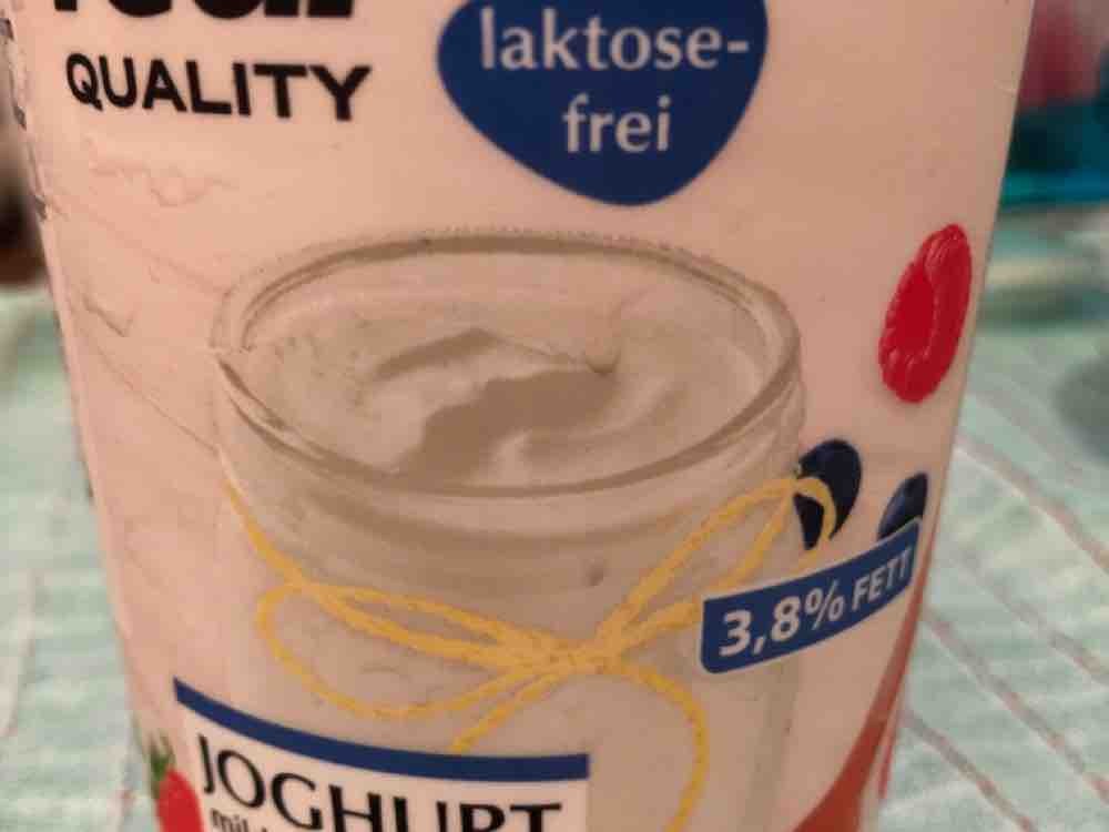 Joghurt, mild laktosefrei 3,8% Fett von SaTes1981 | Hochgeladen von: SaTes1981
