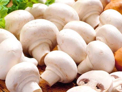 Champignons von leonievictoriakub | Hochgeladen von: leonievictoriakub Champignons von leonievictoriakub | Hochgeladen von: leonievictoriakub