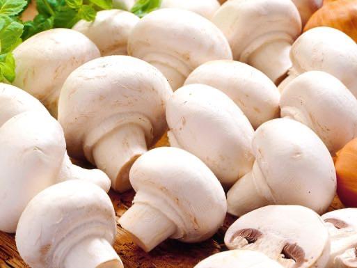 Champignons von leonievictoriakub | Hochgeladen von: leonievictoriakub Champignons von leonievictoriakub | Hochgeladen von: leonievictoriakub