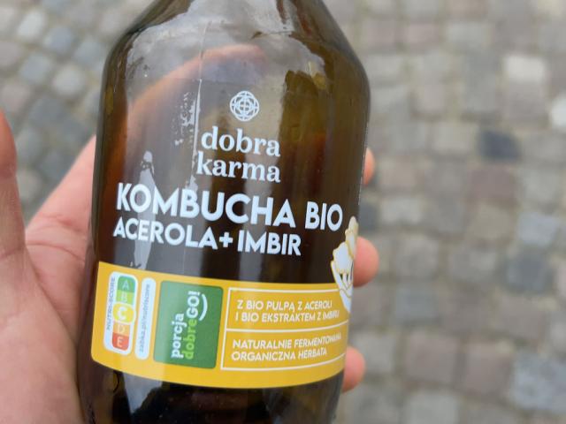 Kombucha von andipl25 | Hochgeladen von: andipl25