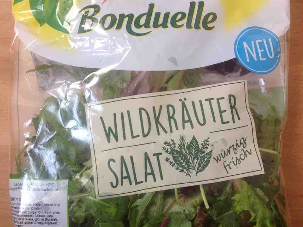 Wildkruter Salat von djrichter314 | Hochgeladen von: djrichter314