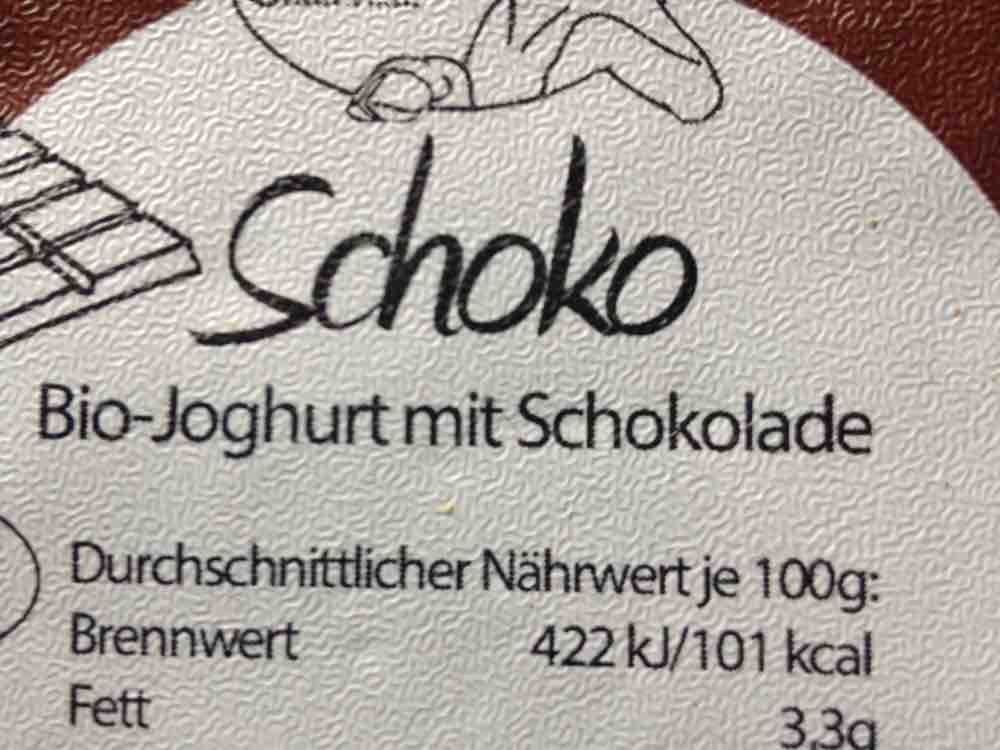 Schoko Bio-Joghurt mit Schokolade von Rennerle | Hochgeladen von: Rennerle