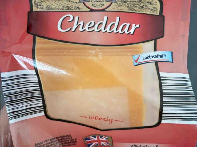 Cheddar by Ana999 | Uploaded by: Ana999