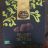 Truffes fantaisie Bio von UtePetras | Hochgeladen von: UtePetras