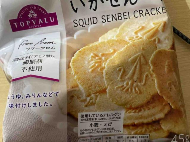 Squid Senbei by Fettigel | Uploaded by: Fettigel