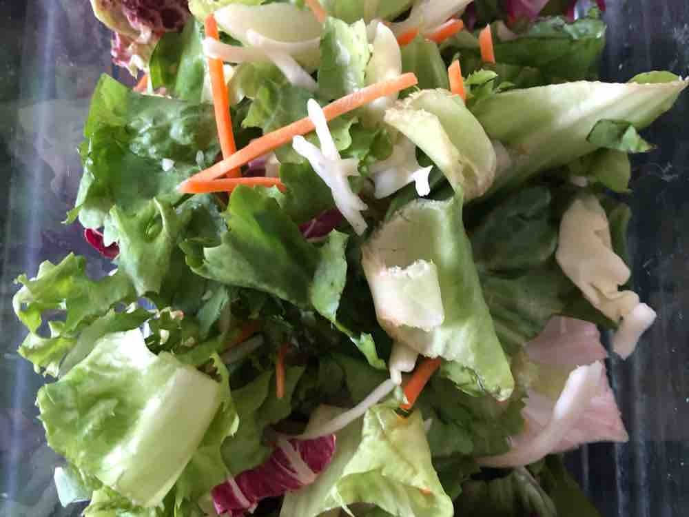 Saison-Mix, frischer gemischter salat von gildaschoenkirc447 | Hochgeladen von: gildaschoenkirc447
