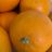 Tarocco Orange von gioele | Hochgeladen von: gioele