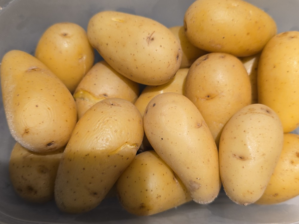 Hochgeladen von: Paulina B