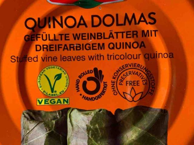 Quinoa Dolmas, gefüllte Weinblätter mit dreifarbidem Quinoa von  | Hochgeladen von: bschwaderer514