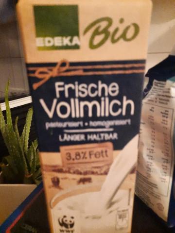 milch, Milch (3,8%) von enrico.klt | Hochgeladen von: enrico.klt