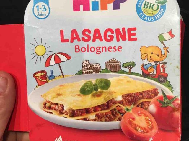 babynahrung, pasta bambini gemüse-lasagne von yvonnema | Hochgeladen von: yvonnema
