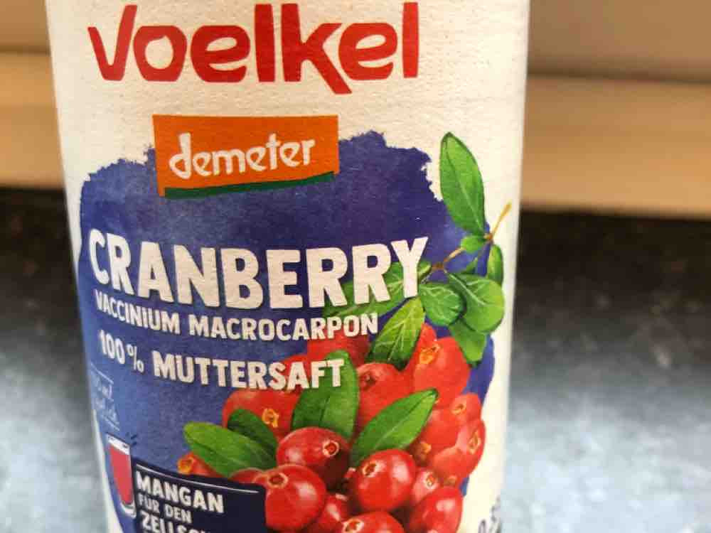 Cranberry Muttersaft, vaccinium macrocarpon von yoganidra | Hochgeladen von: yoganidra