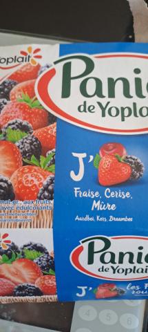 Panier de Yoplait, 0% de matières grasses by Maxime27 | Uploaded by: Maxime27