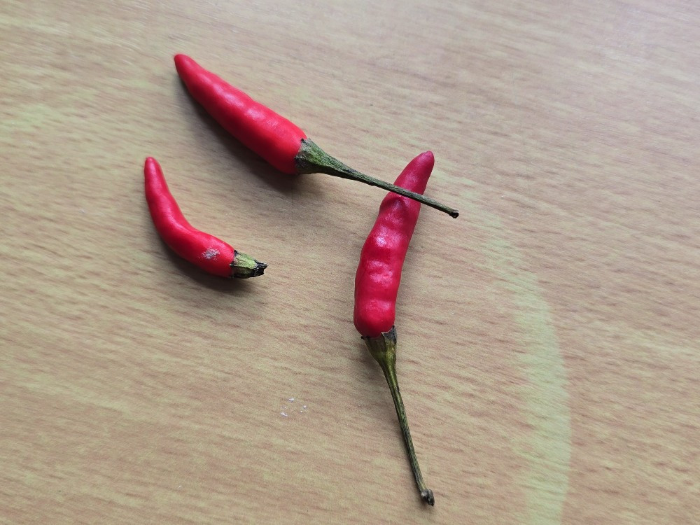 Hochgeladen von: skysurvergirl