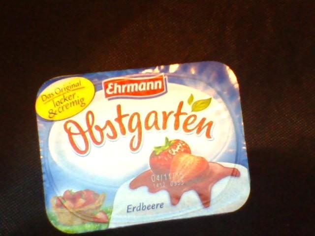Ehrmann Obstgarten, Erdbeere | Hochgeladen von: Seidenweberin