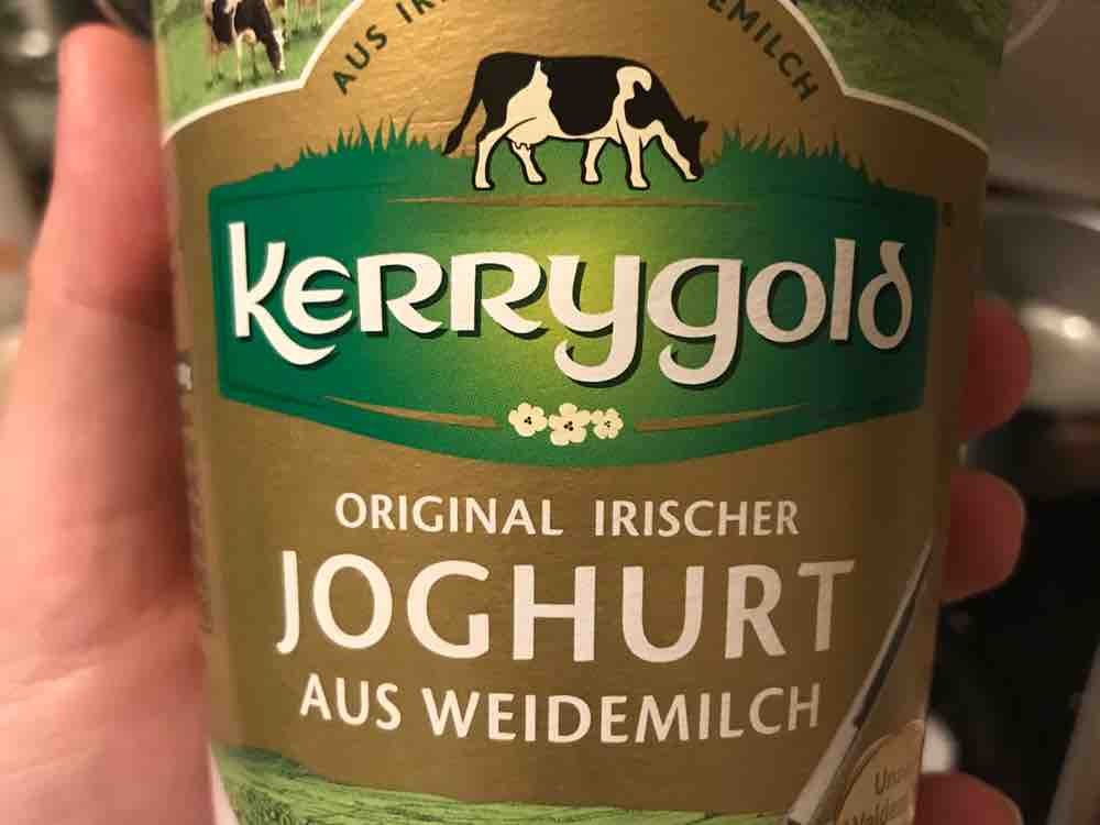 Joghurt aus Weidemilch natur, 3,5% Fett von Kasa153 | Hochgeladen von: Kasa153