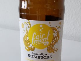 lebendiger Kombucha, Lemongras-Ingwer-Minze | Hochgeladen von: CoonieCat