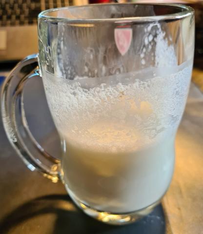 Ayran 0,8% selbstgemacht, Joghurt | Hochgeladen von: Kautzinger