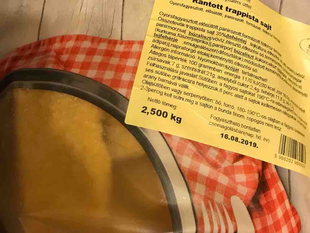 Gebratener Käse (Trappista) von kmate75 | Hochgeladen von: kmate75