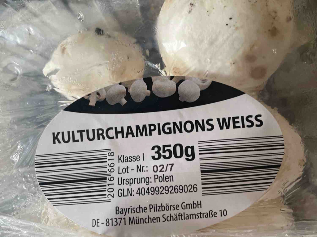 Kulturchampignons weiss von YakuzoLegend | Hochgeladen von: YakuzoLegend