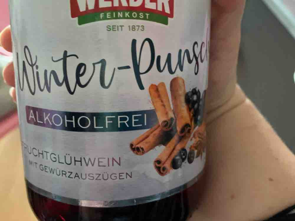 Winter-Punsch, Alkoholfrei Fruchtglühwein von Minesigmund | Hochgeladen von: Minesigmund