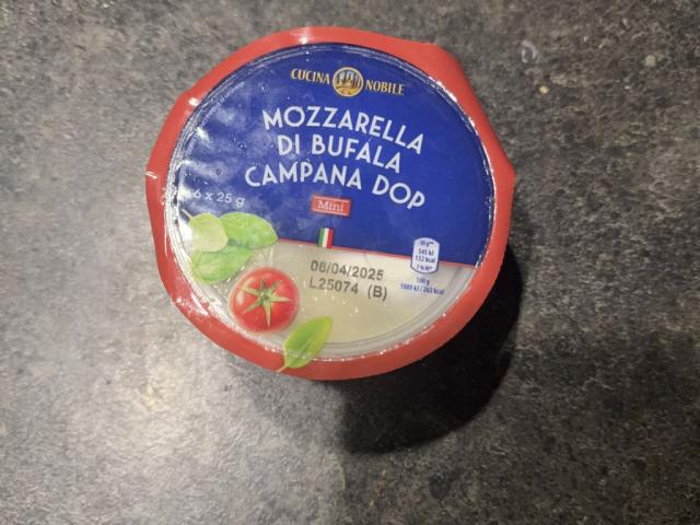 Mozzarella di bufala, Campana dop von nataling | Hochgeladen von: nataling Mozzarella di bufala, Campana dop von nataling | Hochgeladen von: nataling