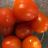 Tomaten, frisch von prcn923 | Hochgeladen von: prcn923