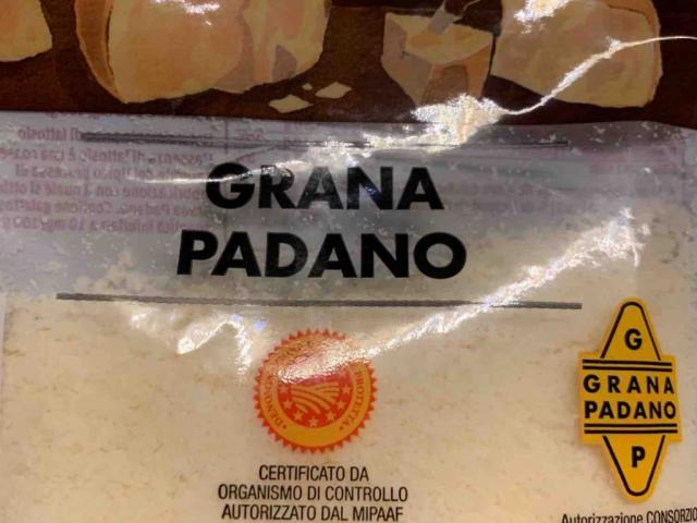 Grana Padano von zenol | Hochgeladen von: zenol