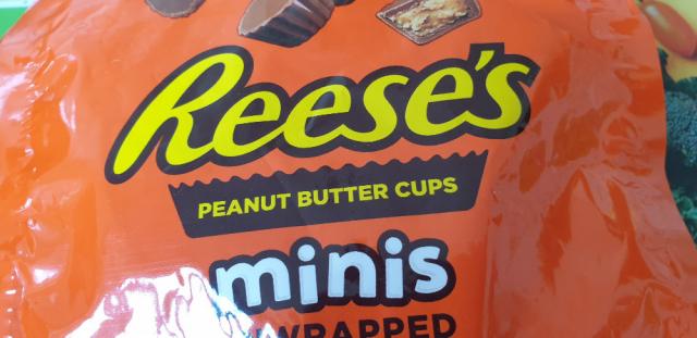 Reiseschecks Peanut Butter Cups, Minis unwrapped von Schwalbe55 | Hochgeladen von: Schwalbe55