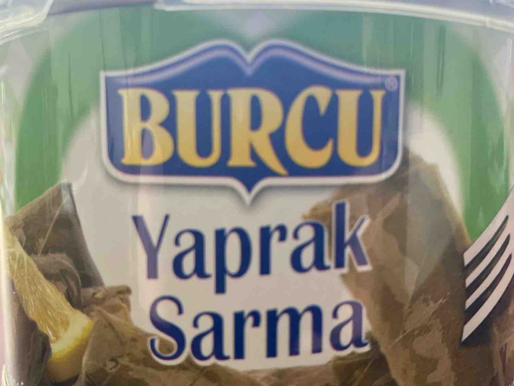 Yaprak Sarma, Gefüllte Weinblätter von fruschikante | Hochgeladen von: fruschikante