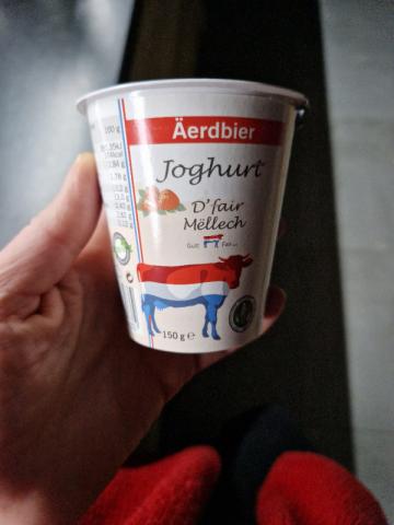 Äerdbier Joghurt, D fair Mëllech von JessicaLiam | Hochgeladen von: JessicaLiam