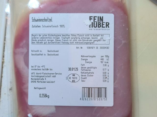 Schweineschnitzel von loppesebastian345 | Hochgeladen von: loppesebastian345