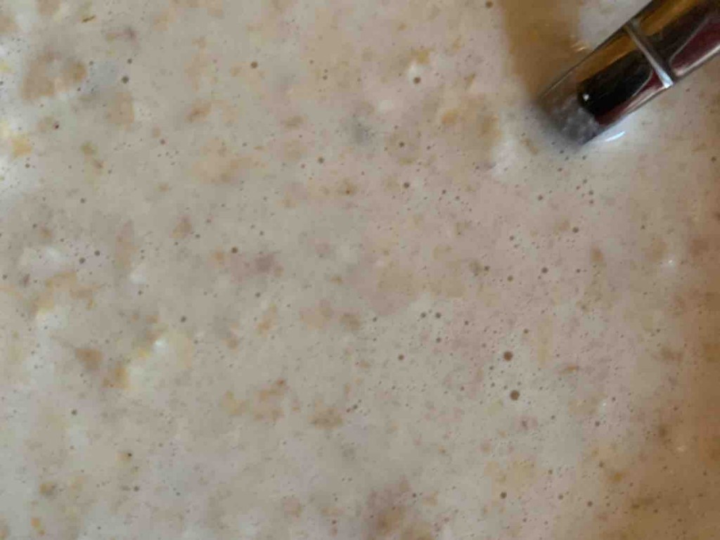 Porridge mit Eiweiß, Milch (0,5%) von Milos0 | Hochgeladen von: Milos0